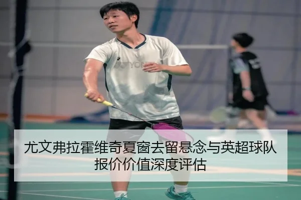 尤文弗拉霍维奇夏窗去留悬念与英超球队报价价值深度评估